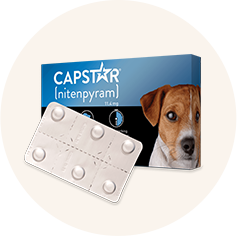 Best Flea and Tick Pet Supermarket Pet Supermarket